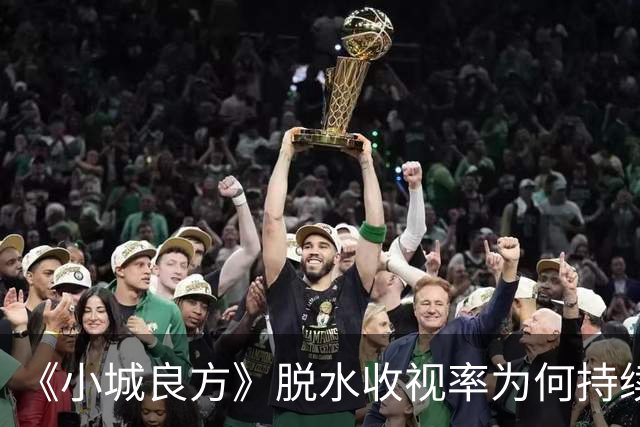《小城良方》脱水收视率为何持续低迷？大屏，放大了肖战演技问题