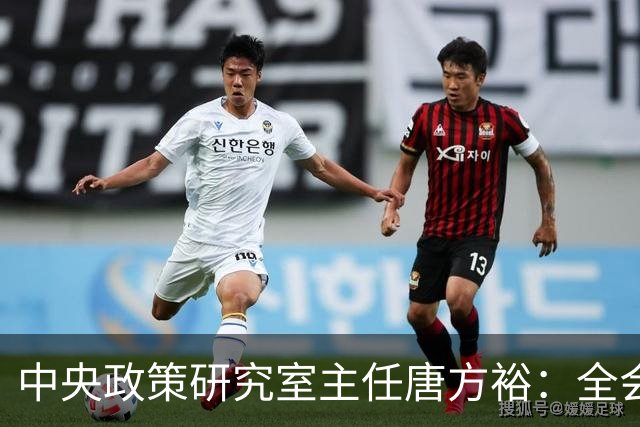 中央政策研究室主任唐方裕：全会《决定》征求意见稿收到修改意见1173条
