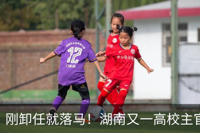刚卸任就落马！湖南又一高校主官被拿下，和南华大学渊源很深
