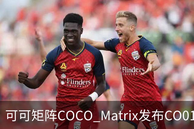 可可矩阵COCO Matrix发布CO01模型：言传身教，让机器人边做边学