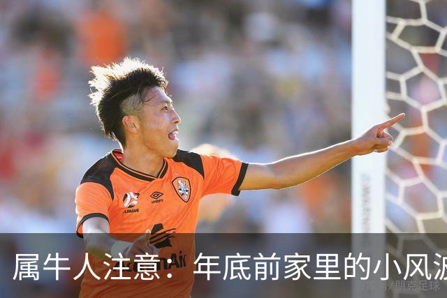 属牛人注意：年底前家里的小风波，其实是亲家关系升温的好兆头