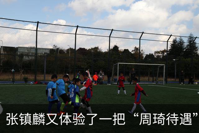 张镇麟又体验了一把“周琦待遇”！打15分钟打卡下班，躺赢真舒服