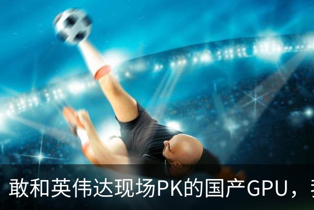 敢和英伟达现场PK的国产GPU，我是服的
