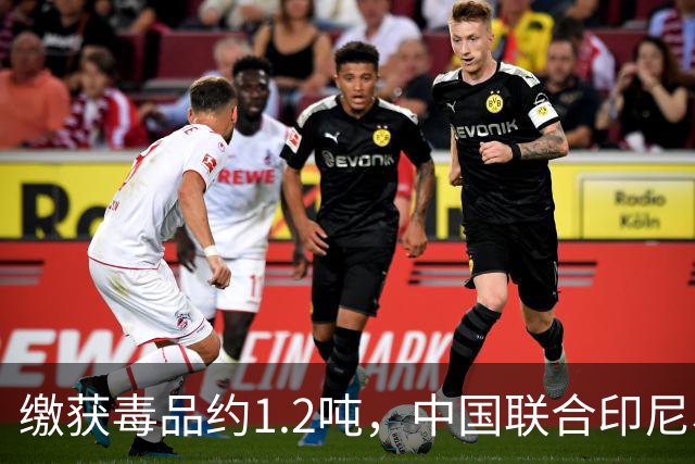 缴获毒品约1.2吨，中国联合印尼、马来西亚破获一起特大跨国制贩毒案