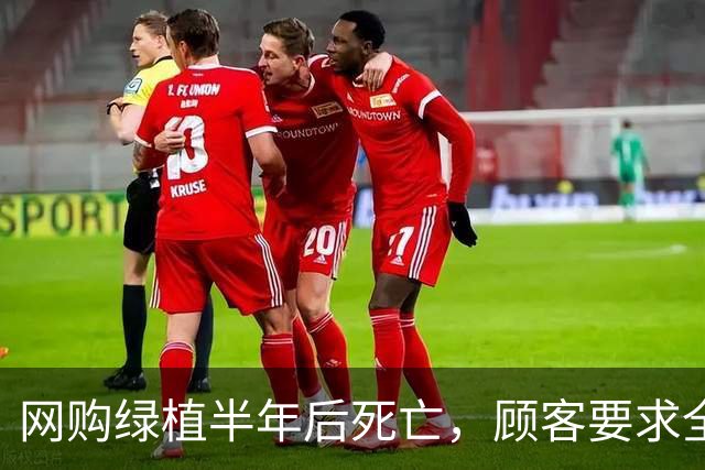 网购绿植半年后死亡，顾客要求全额退款，广州一商家拒绝后，被投诉到闭店，还被告上法庭，商家决定应诉：店都没了，我为什么要妥协？