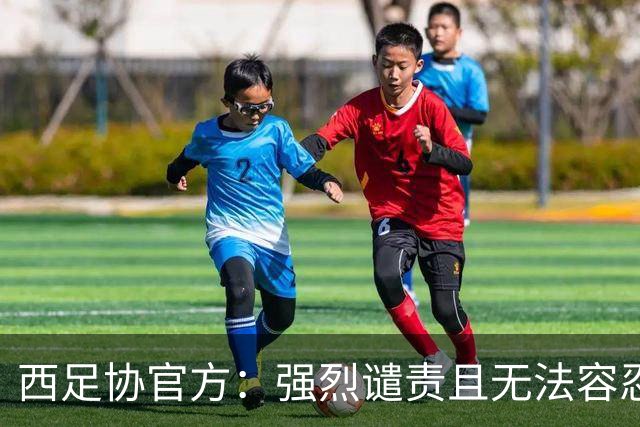 西足协官方：强烈谴责且无法容忍侮辱维尼修斯的行为