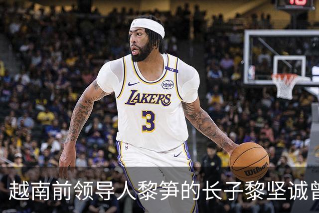 越南前领导人黎笋的长子黎坚诚曾在采访中，当年父亲之所以对中国采取强硬行动，是因为越南高层认为自己已经凑齐了三张足以取胜的“底牌”