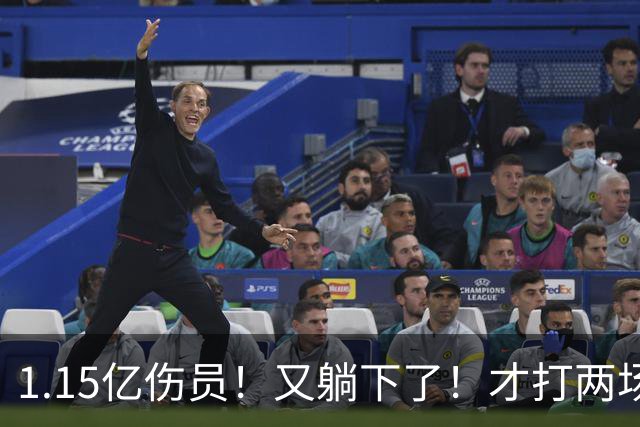 1.15亿伤员！又躺下了！才打两场！猛龙赌输了吗？